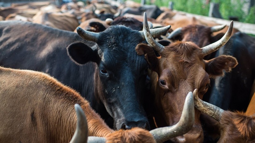   РИА Новости