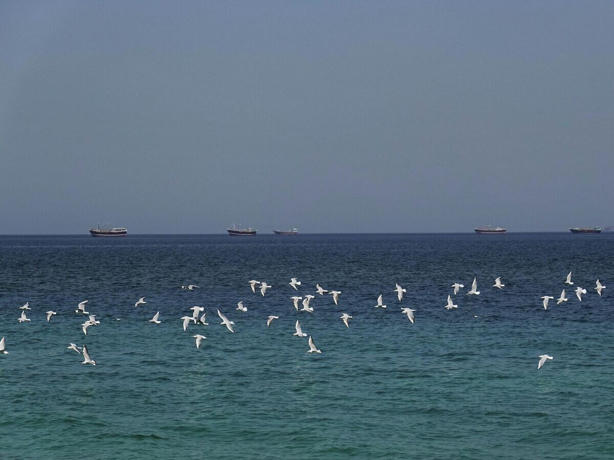    Суда в Ормузском проливе | © REUTERS / Amr Alfiky