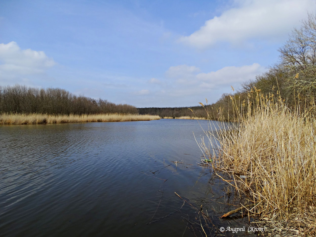 Река Мокрая Чубурка на территории Александровского леса. Март 2016 г.