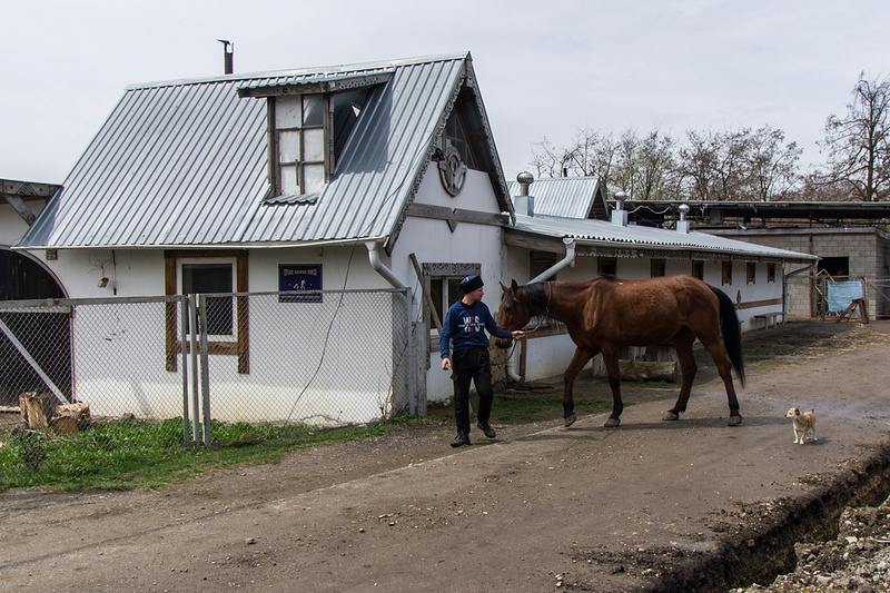 Фото: Иван Губский