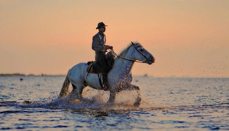    Легенда о принце. Как поздравить жену с праздником 8 Марта? Фото: по лицензии CC0 Pxhere.com