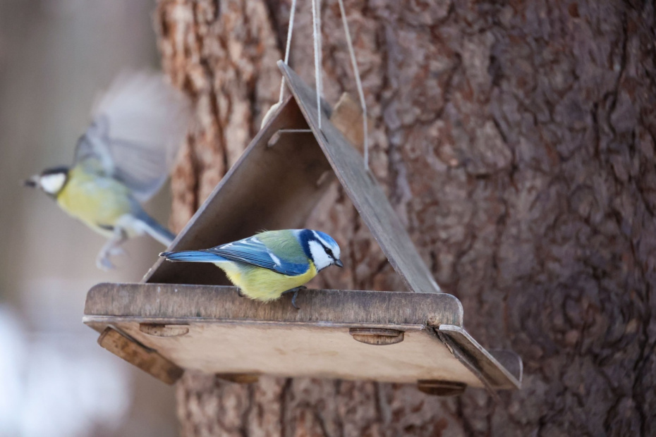    Алексей Белкин/NEWS.ru