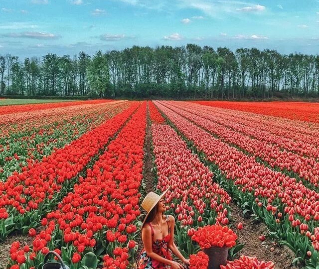 К Вашим ножкам, девочки!