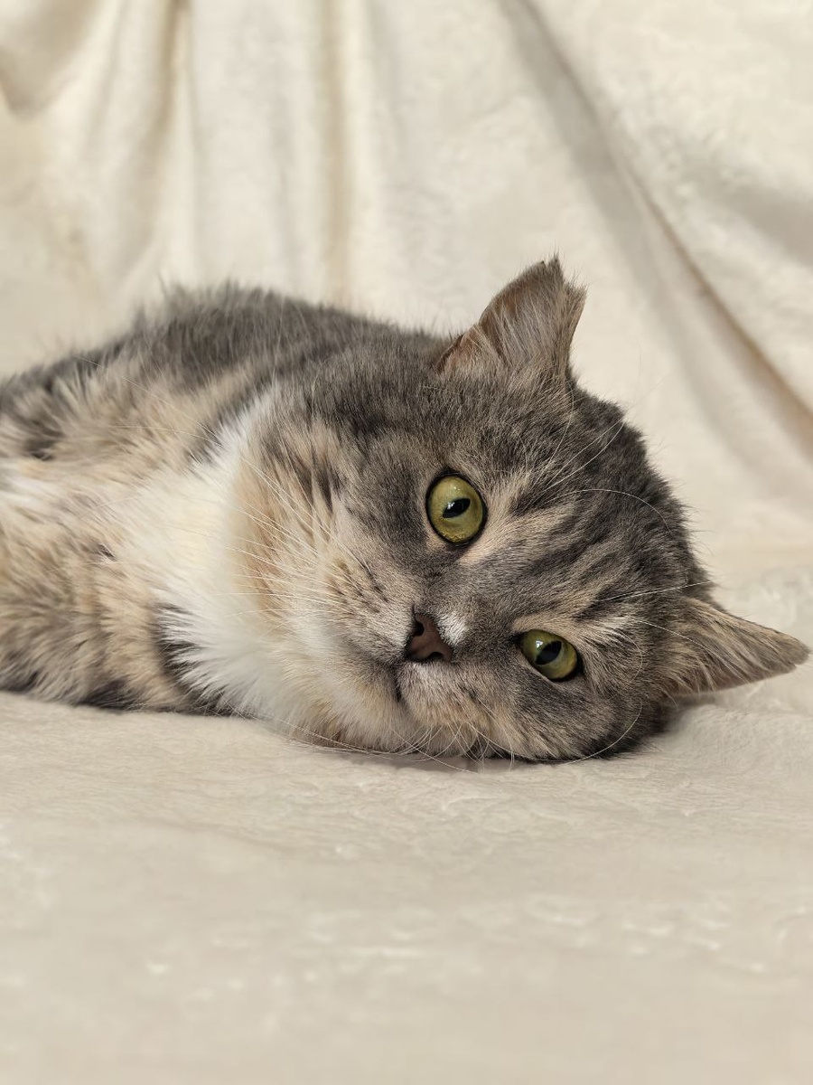 Прошка 💔 Фото из архива автора