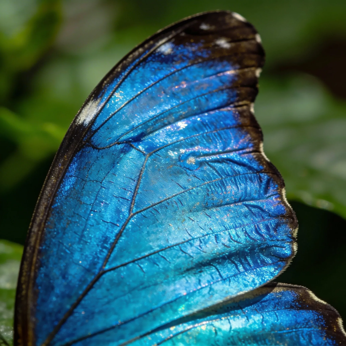 Изображение создано с помощью искусственного интеллекта