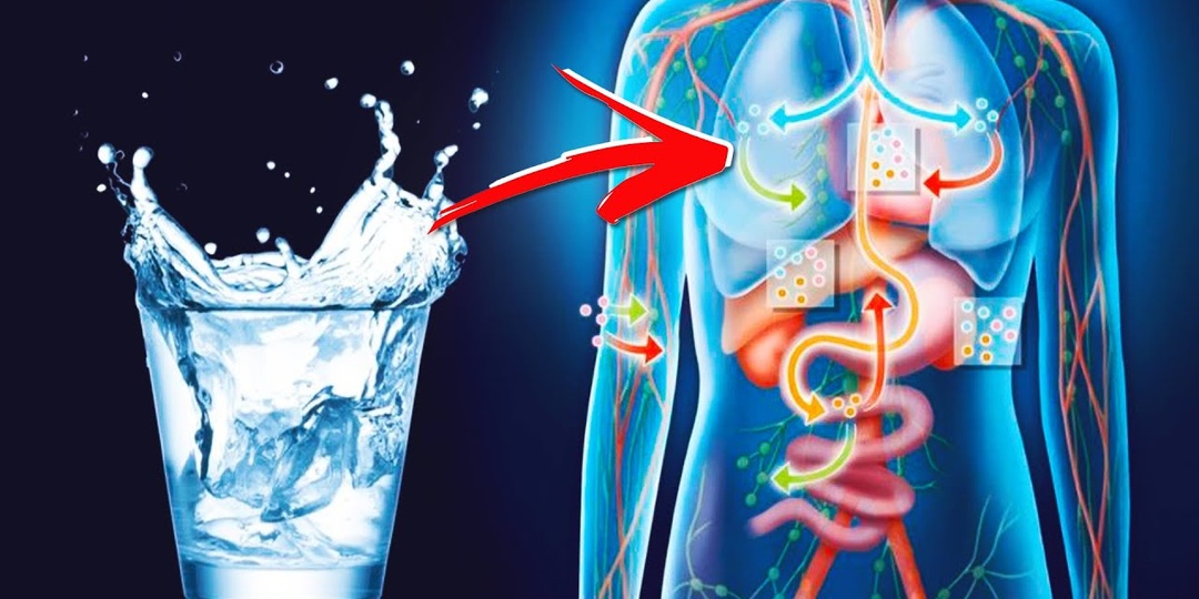 Как понять, что не хватает воды