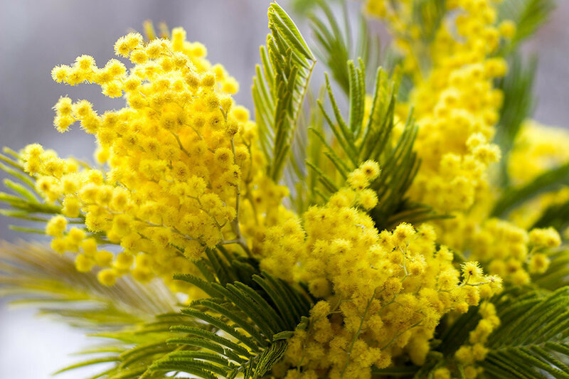 Фото из открытых ресурсов интернета