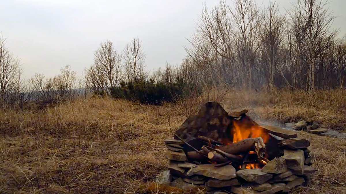 Авторское фото «Костёр поздней осенью»