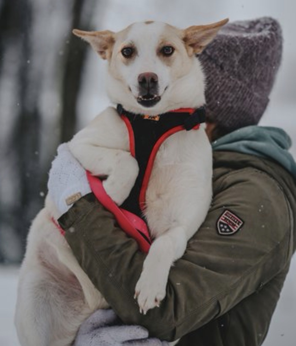 Вот тут довольная я на ручках волонтера 🥰!