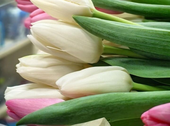    Фото:Ольга Григорьева