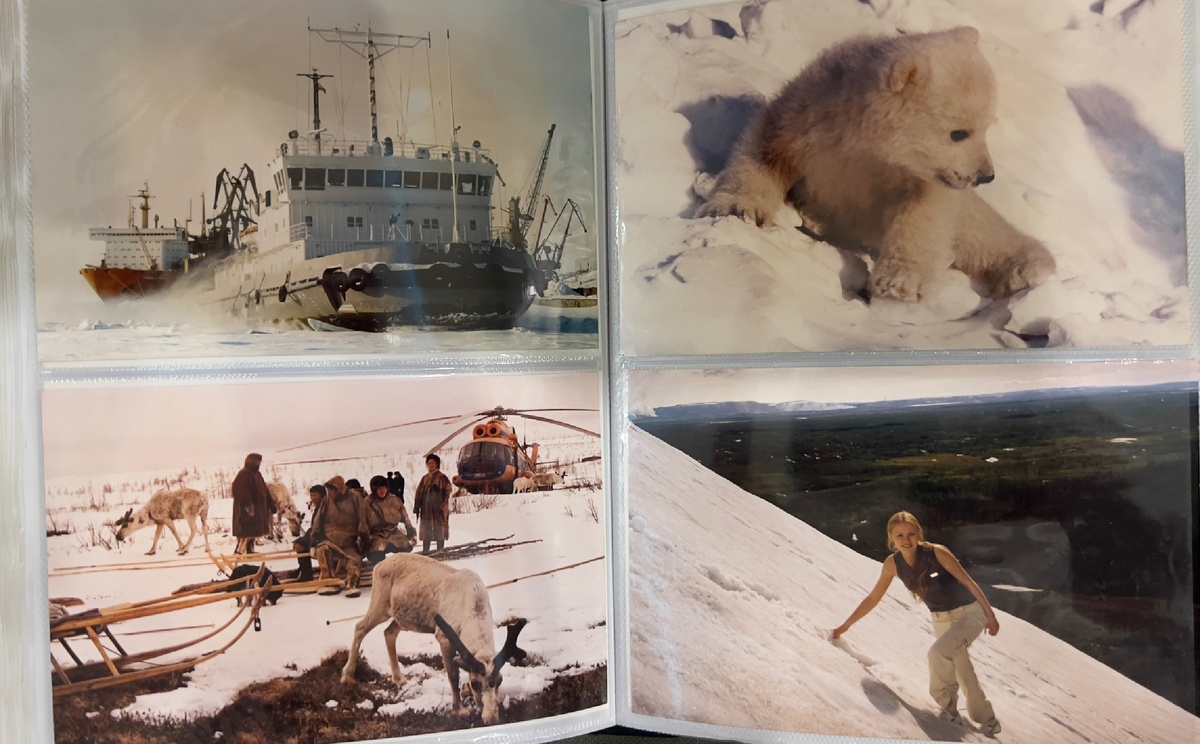 Таймырский полуостров: Дудинский порт.  Подшефные поселки северных народов под патронажем Норникеля. Детеныш белого медведя. Ущелье "Красные камни"  летом.