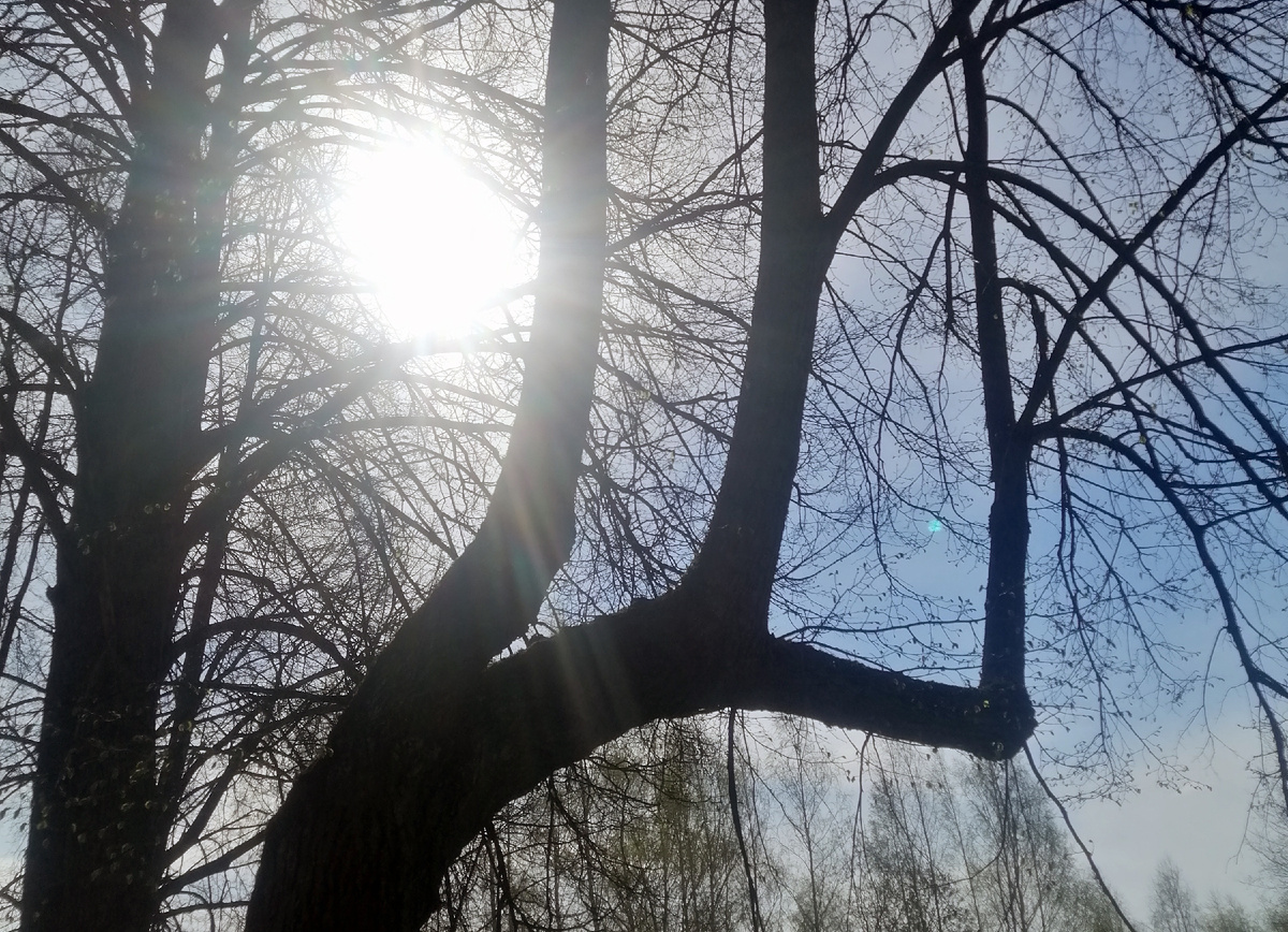 Фото: Столичный курьер