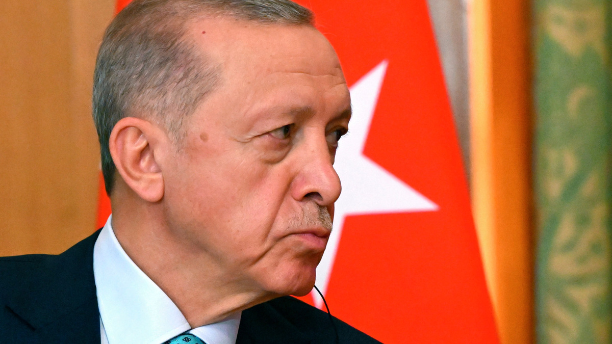    Реджеп Эрдоган РИА