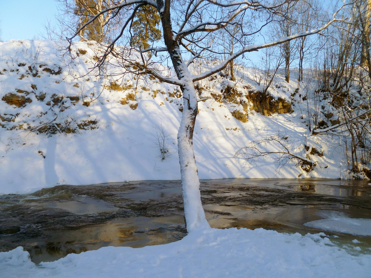 Фото: Столичный курьер