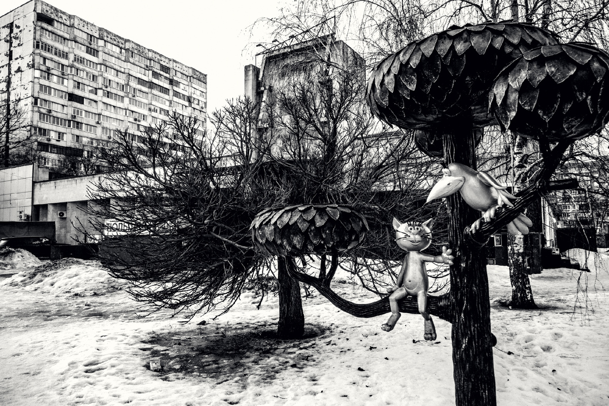 Стрит-фото от Бондарева Петра 7 марта 2026 "Котенок С Улицы Лизюкова"