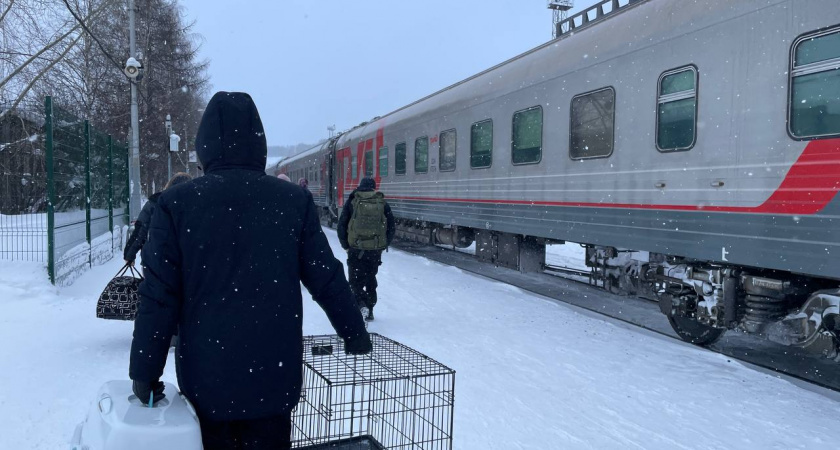    Автор фото - Анна Ефимова