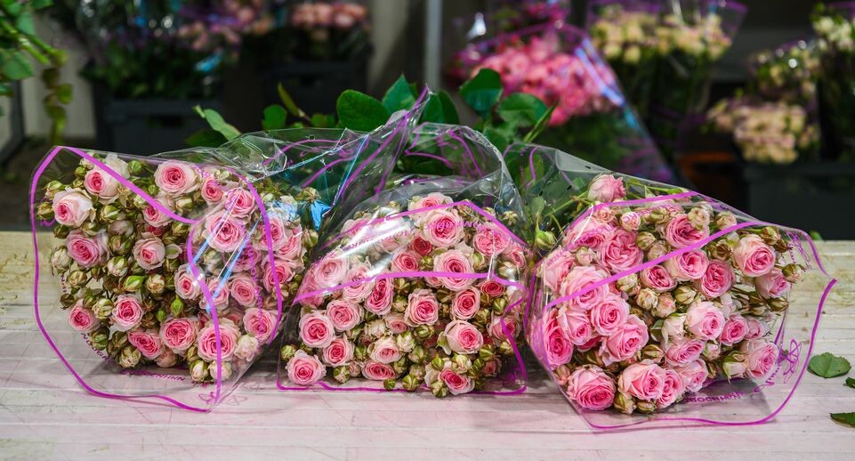    Медиасток.рф