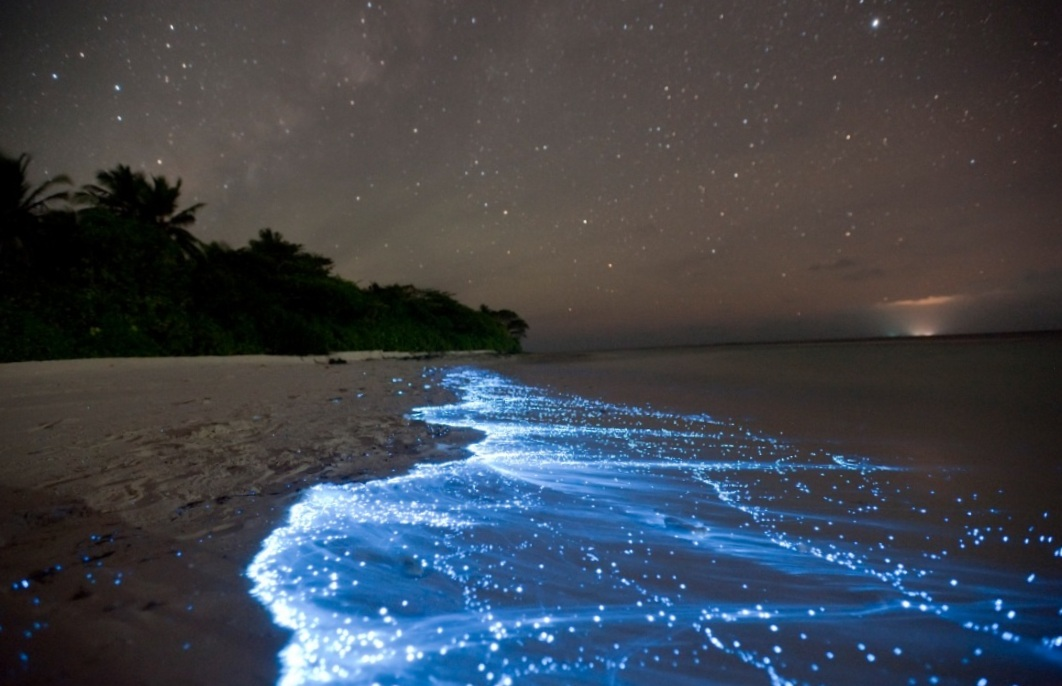 источник travel-frogs.ru