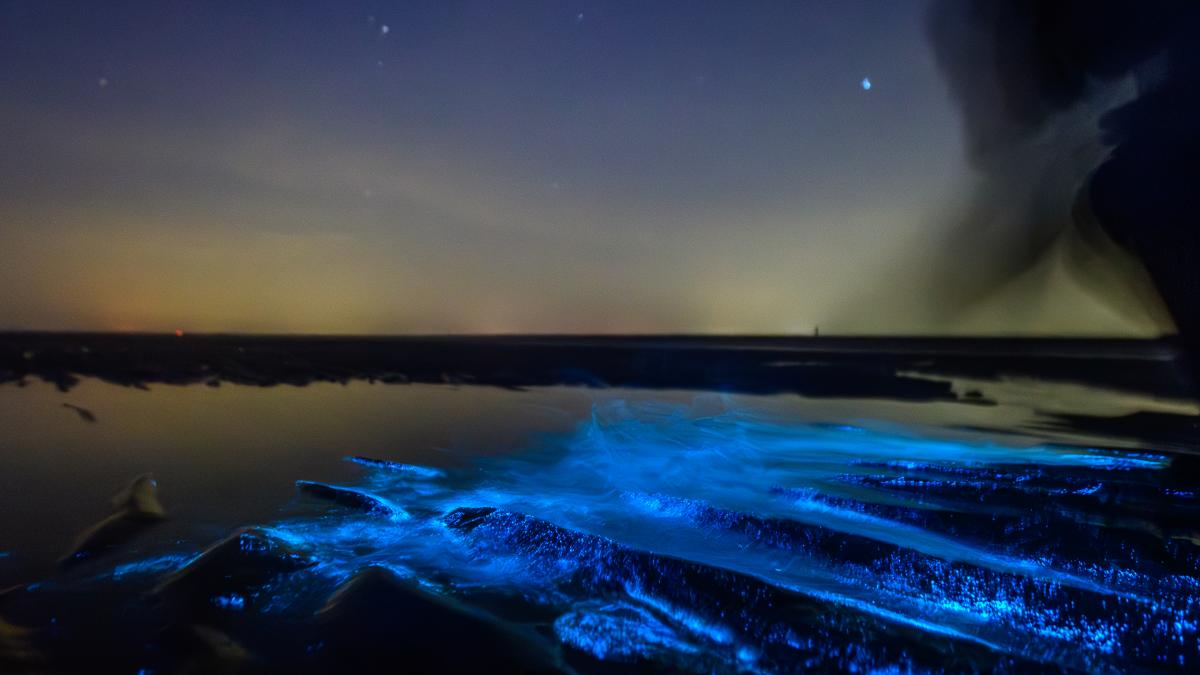 источник: newsinfo.ru