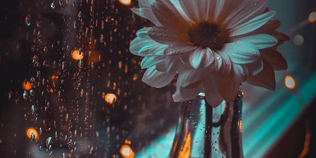 Сколько живут после приворота?