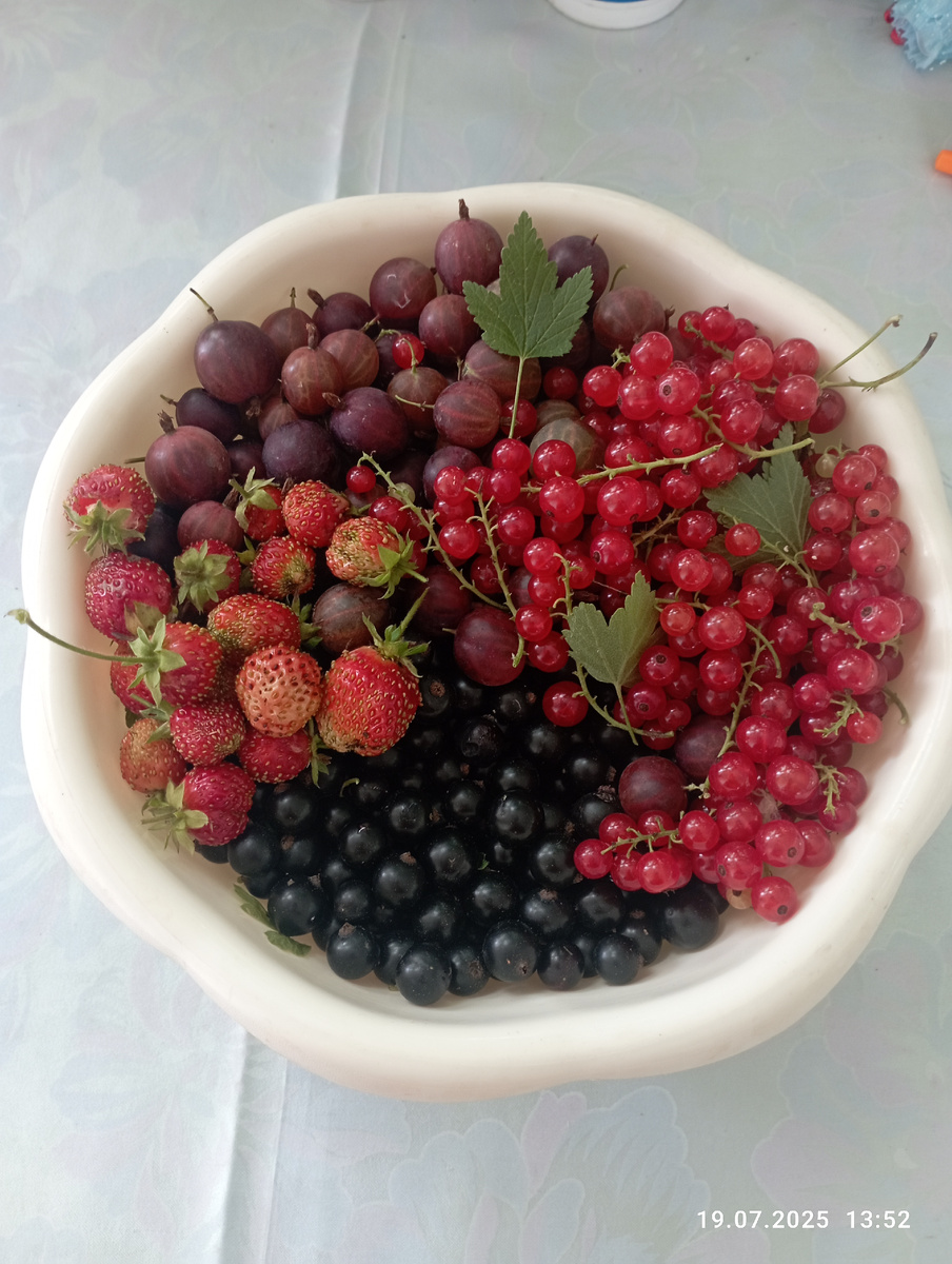 Фото автора. Мои ягодки!