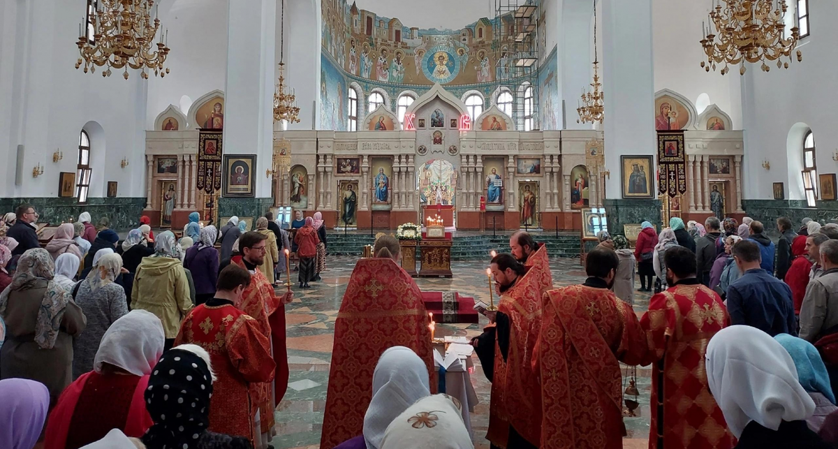    Фото с сайта marimedia.ru с сайта www.marimedia.ru