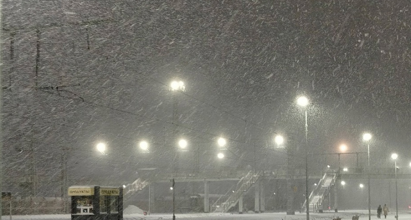    Фото: progorod43.ru