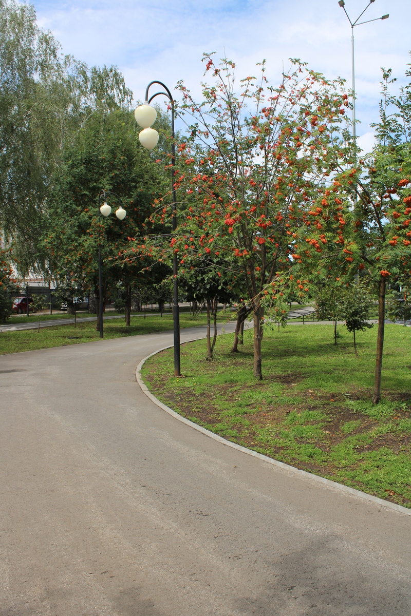     Чемпионтатта ҡатнашыуға ғаризалар туплана