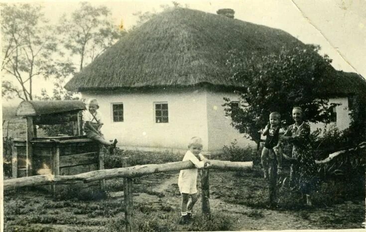 Взято из открытых источников интернета Яндекс.