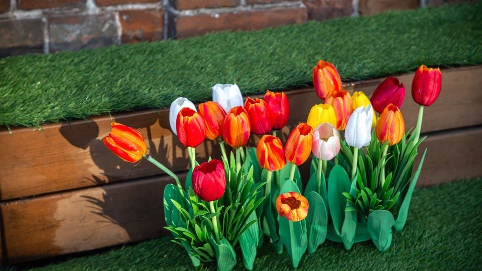 🌷 В Красноярске 8 марта придет потепление