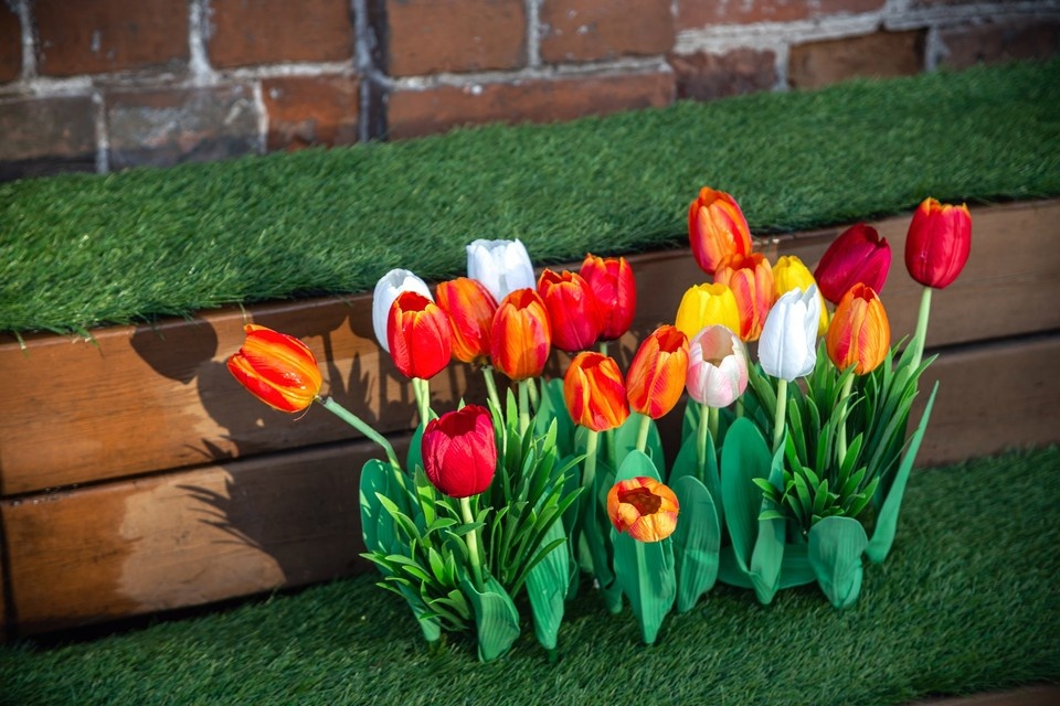   ИВАНОВА Диана