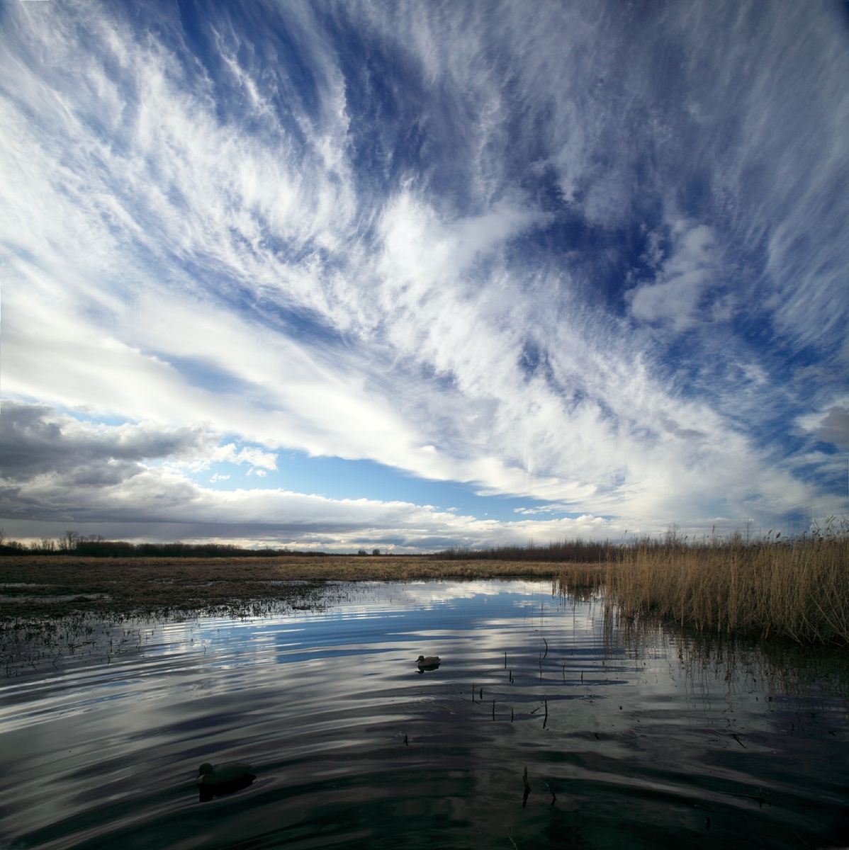    Половодье Сибирь ГЛ