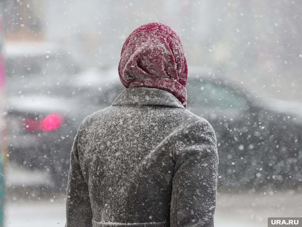     Из-за метели на Сахалине перекрыта федеральная трасса и отменены межмуниципальные рейсы
