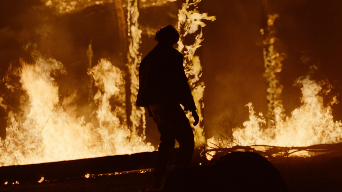 Лесной пожар о чем, Огнезащитный барьер о чем