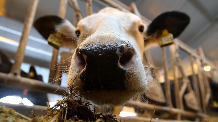   РИА Новости