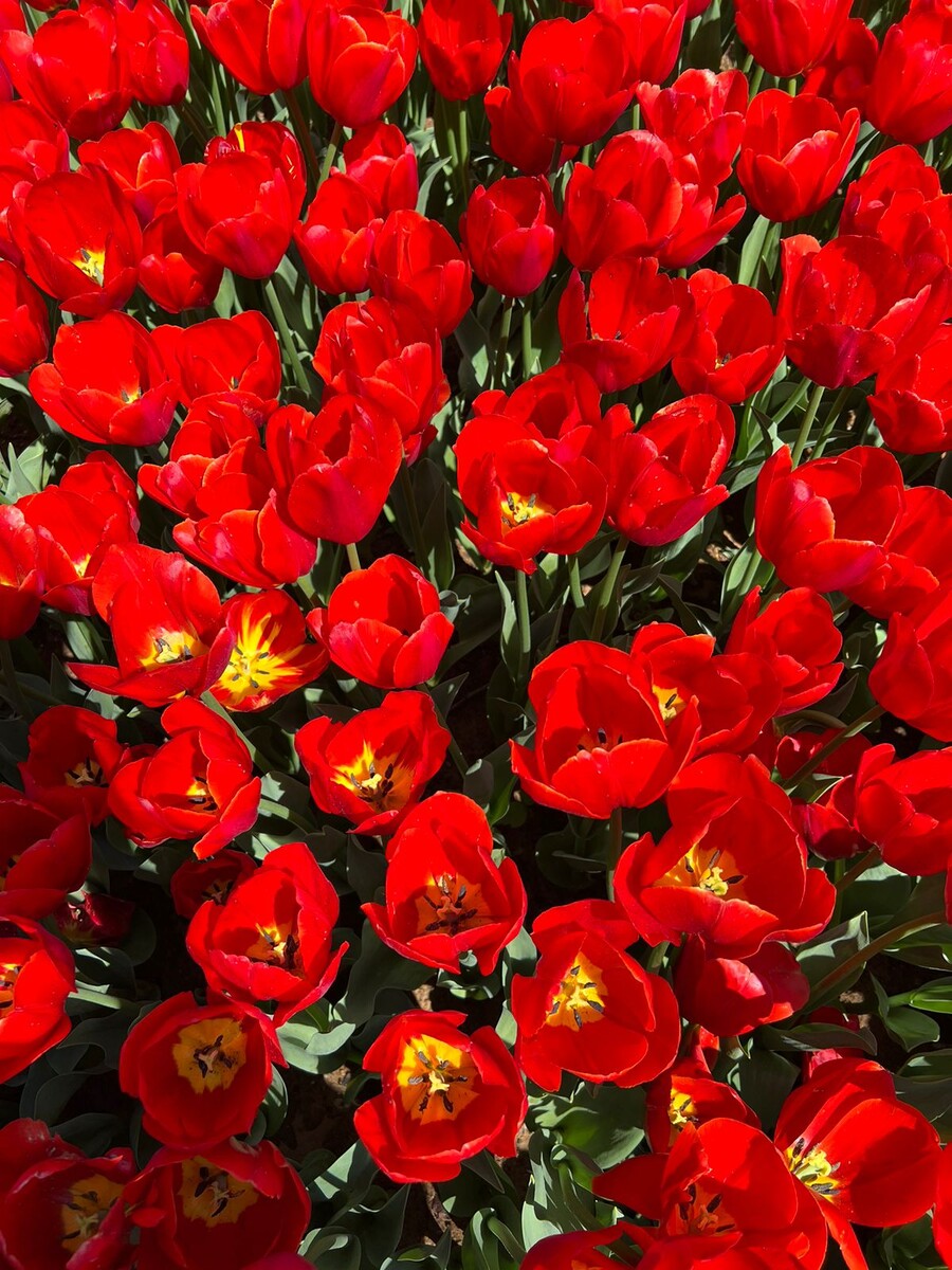 Личное фото. 