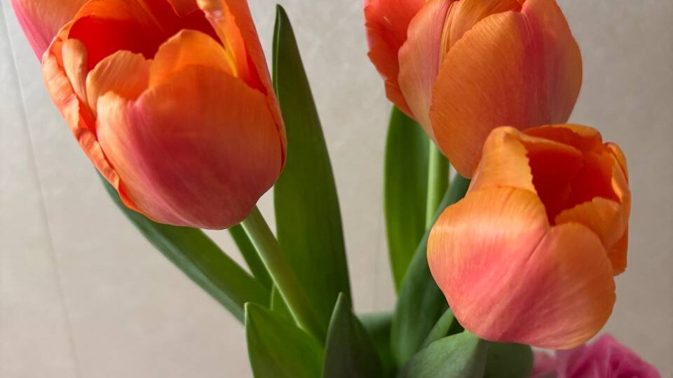 Про подарки на 8 марта и про то, как дед шоколадный рулет с майонезом испёк