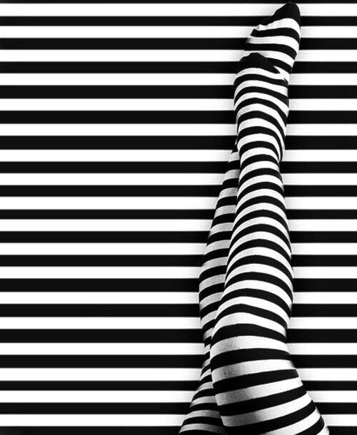 Жизнь, как зебра, полосатая... Фото из сети интернет