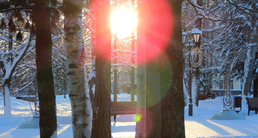    Автор: Вячеслав Вольгин