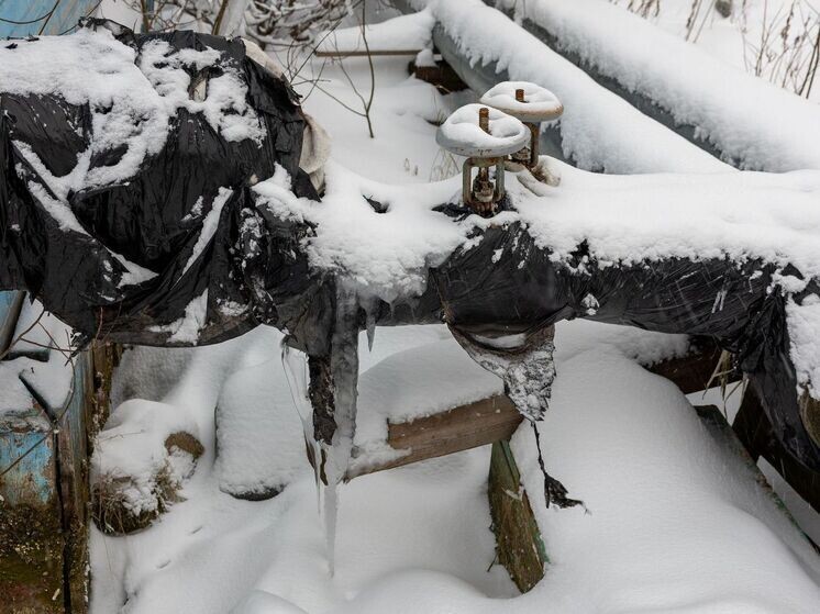     Фото: Александр Чирва/«Ямал-Медиа»