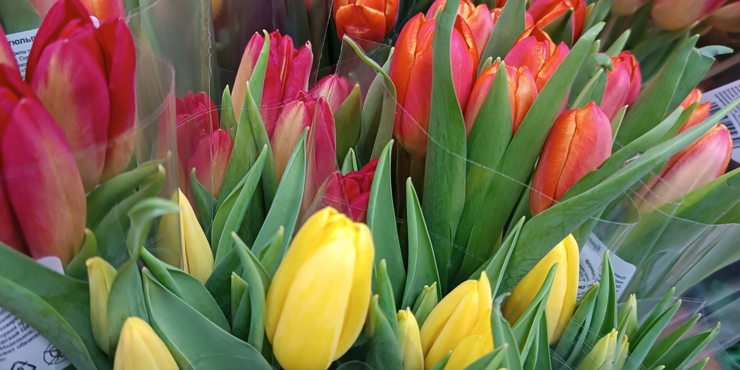 Осторожно, праздник: как не стать жертвой новой мошеннической схемы к 8 Марта