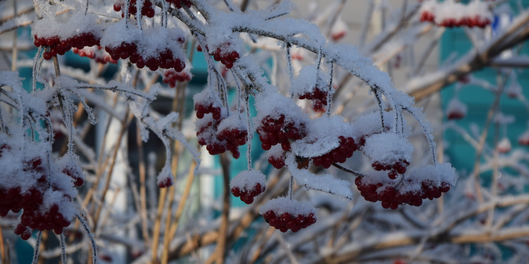 Снегопады ожидаются в Башкирии 8 марта: синоптики предупреждают о морозах