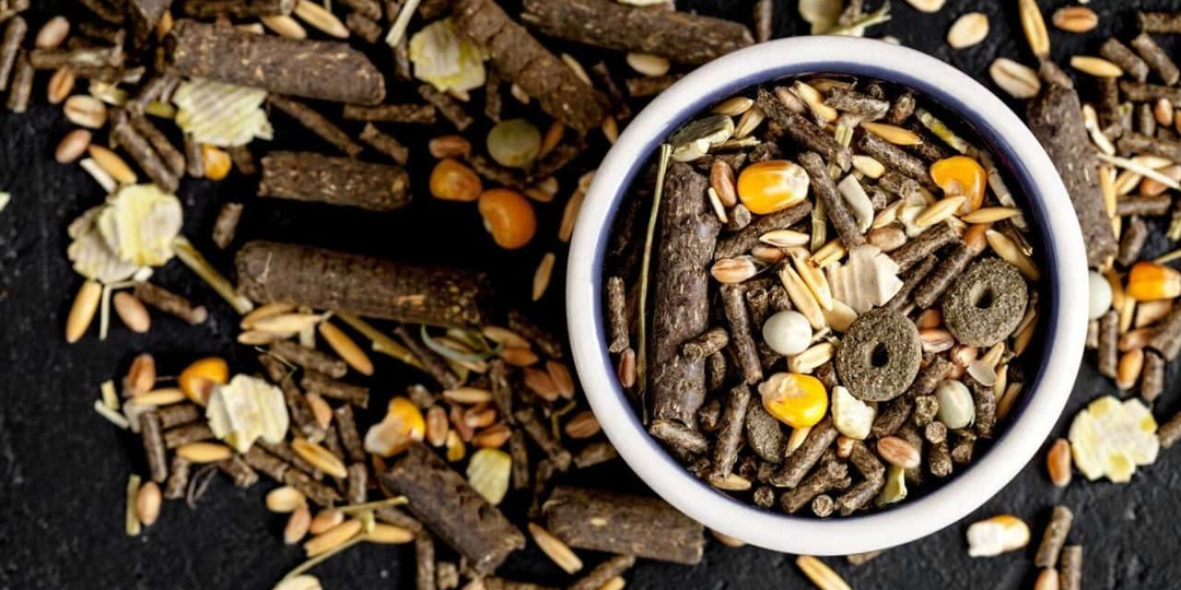 Чем в домашних условиях кормить цыплят с первого дня жизни