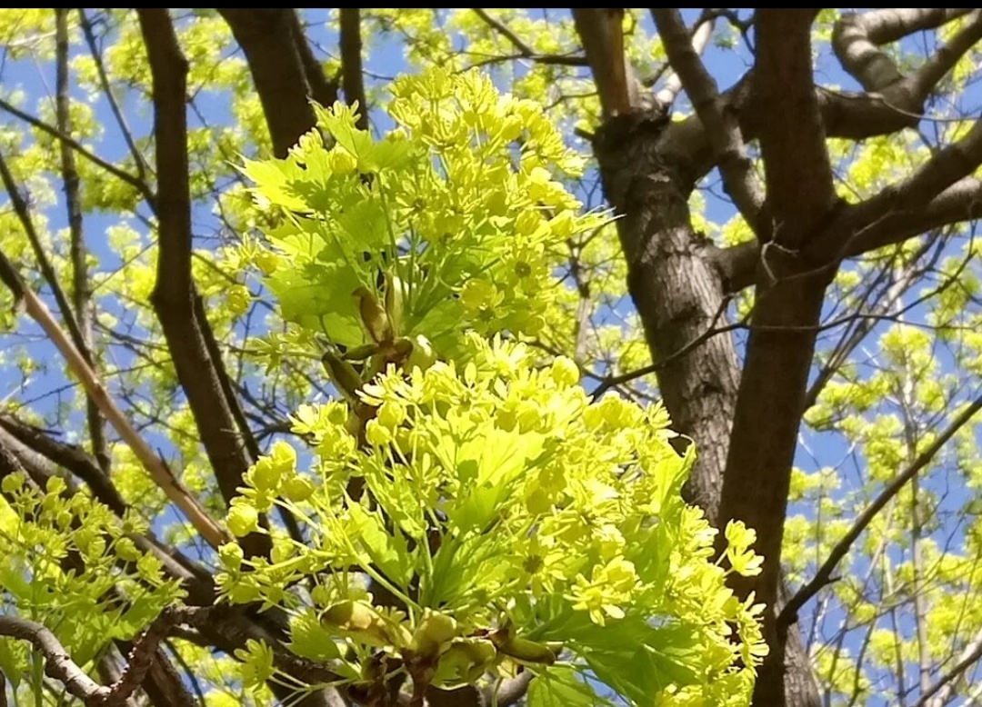 1 фото автора