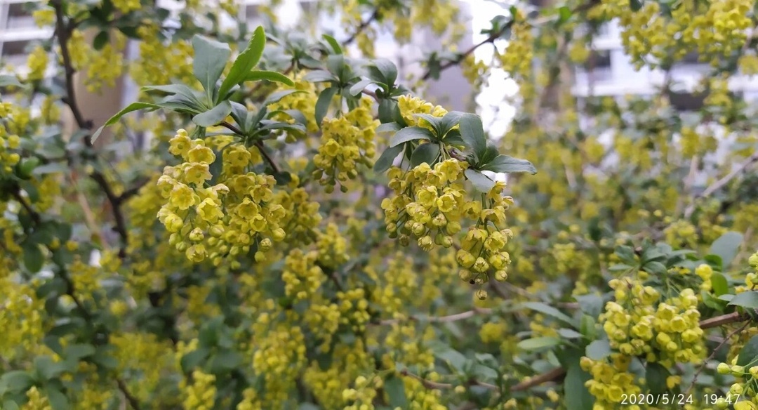 2 фото автора