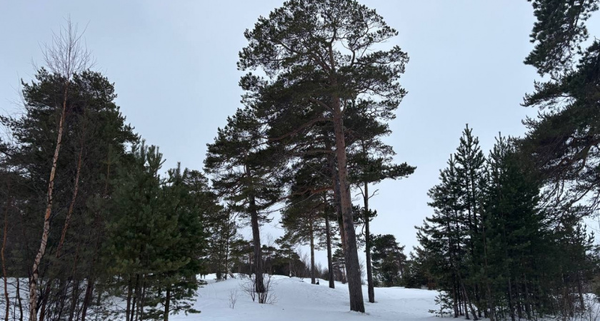    Фото из архива редакции