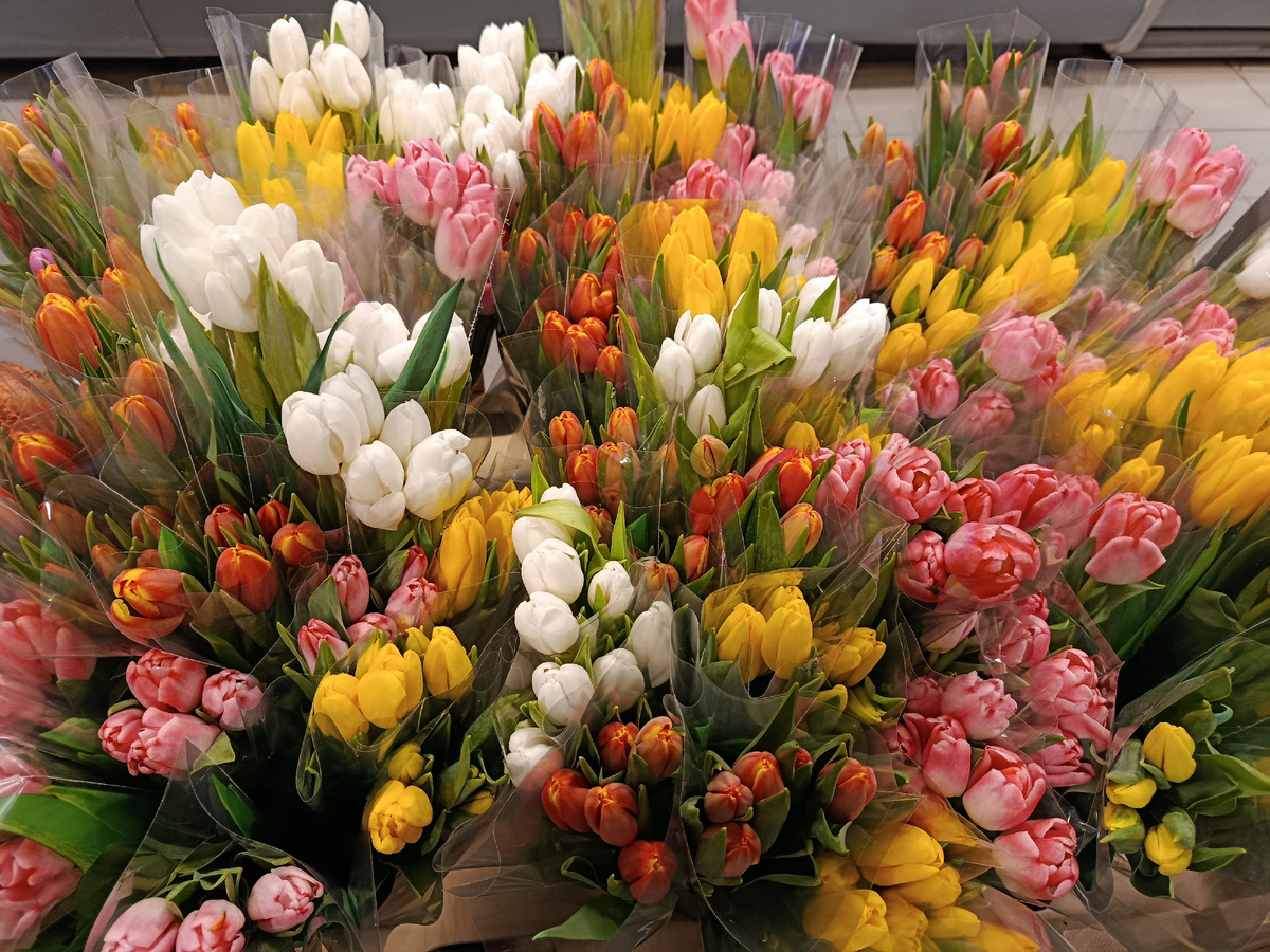 Тюльпаны в Пятерочке