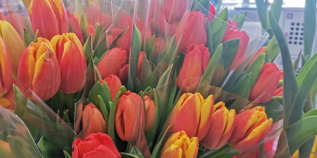 Владимир Путин поздравил россиянок с Международным женским днем