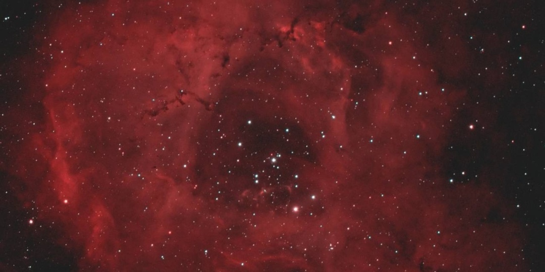 Цветы из космоса