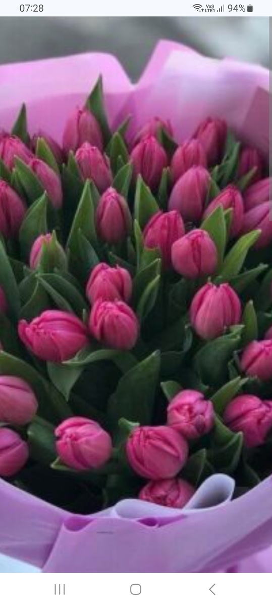 Весенние цветы